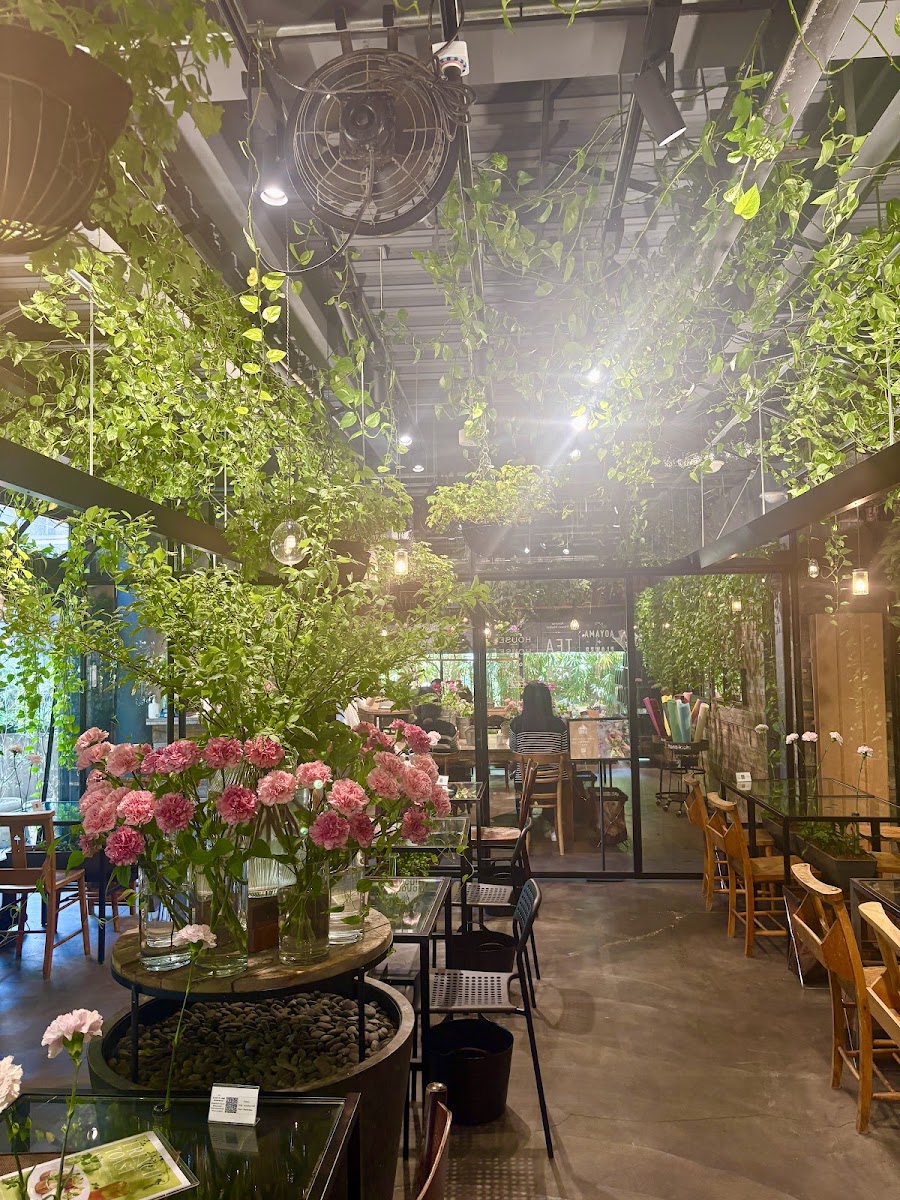 青山フラワーマーケット ティーハウス 南青山本店
