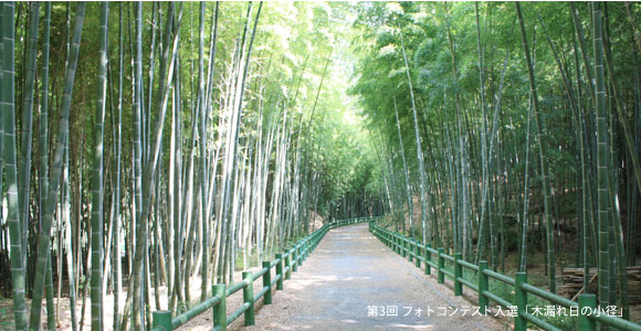牧野ヶ池緑地