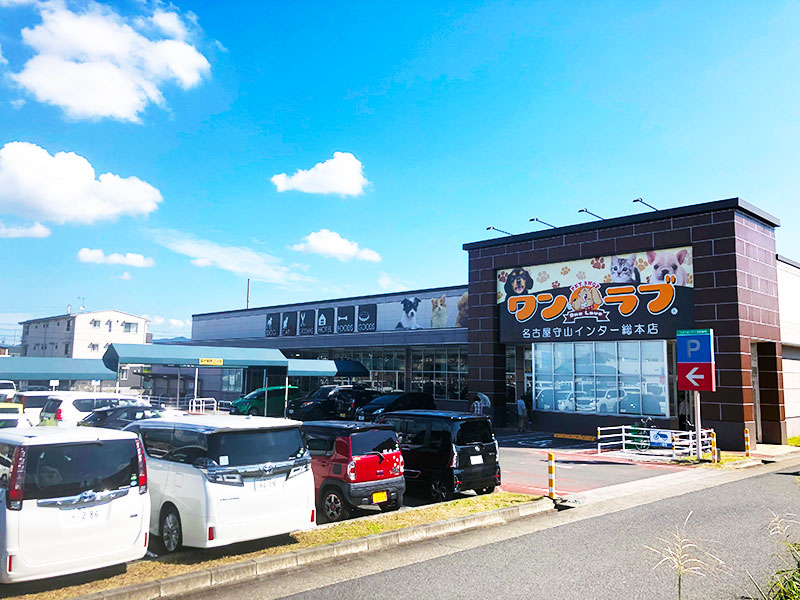 ワンラブ 名古屋守山インター総本店