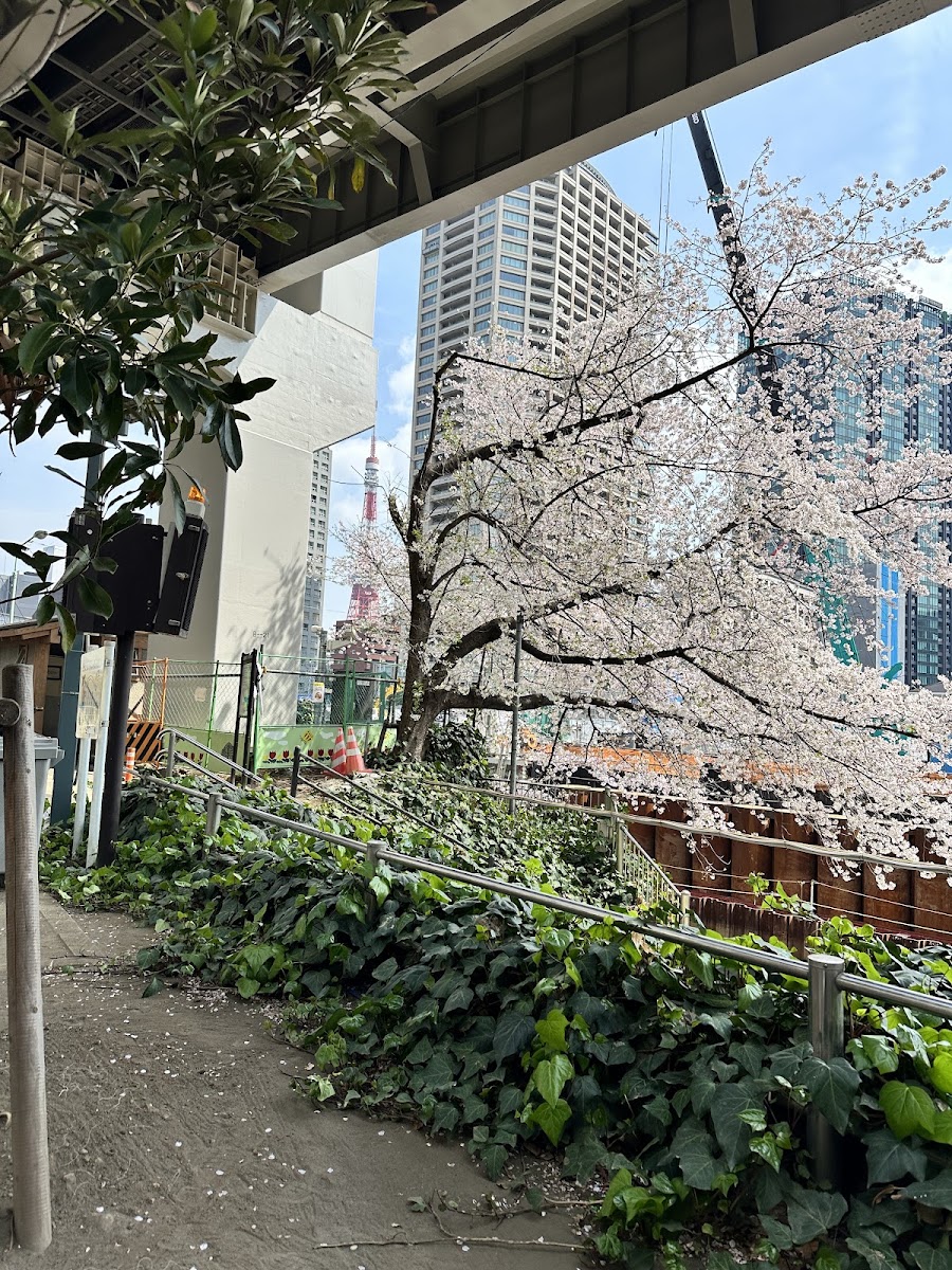 港区立新広尾公園ドッグラン