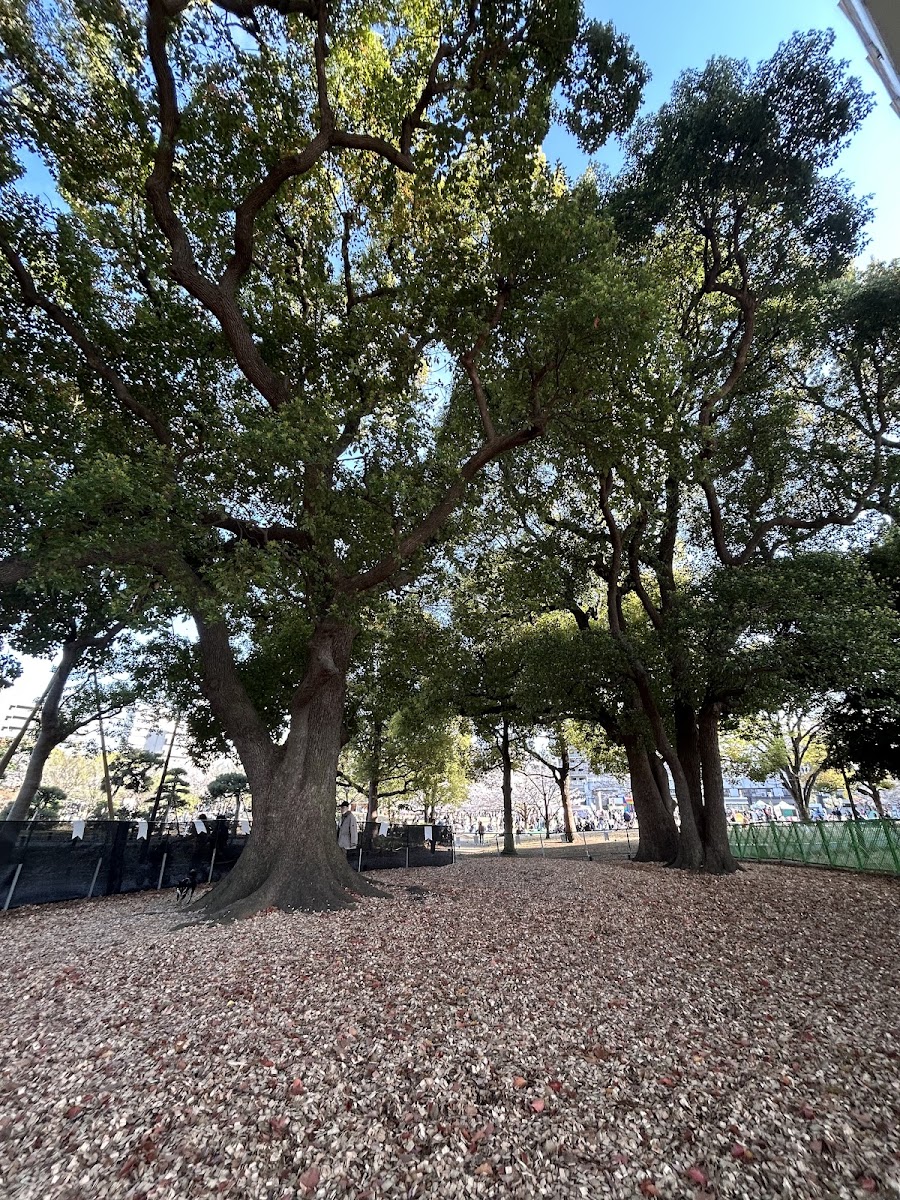 すみだドッグパーク(隅田公園内)