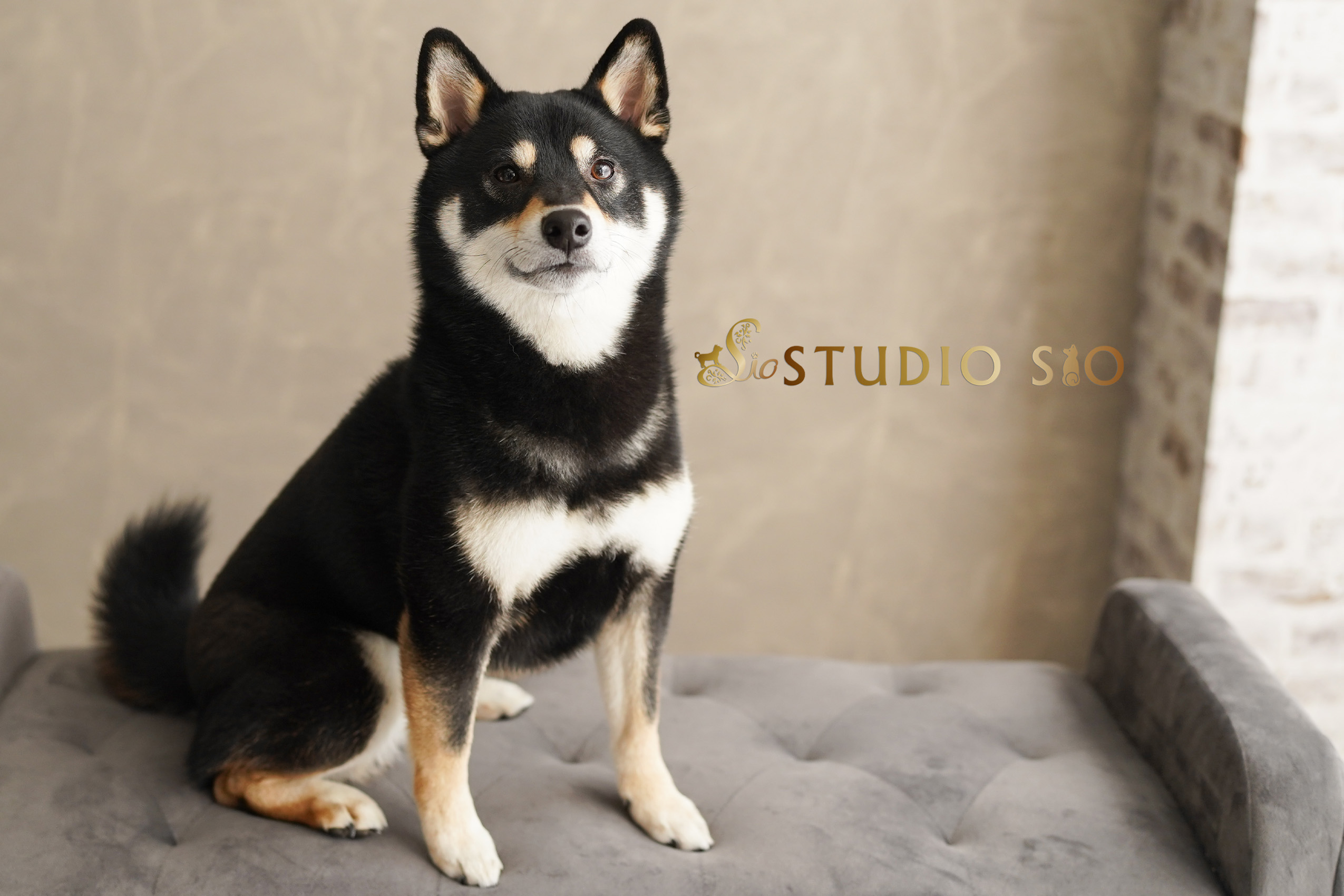 STUDIO SIO
