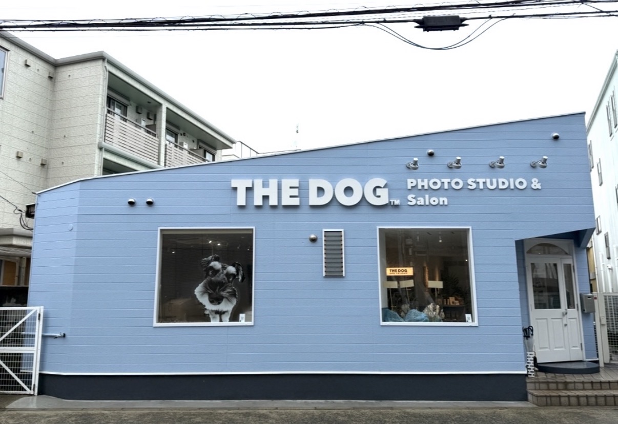 THE DOG Salon