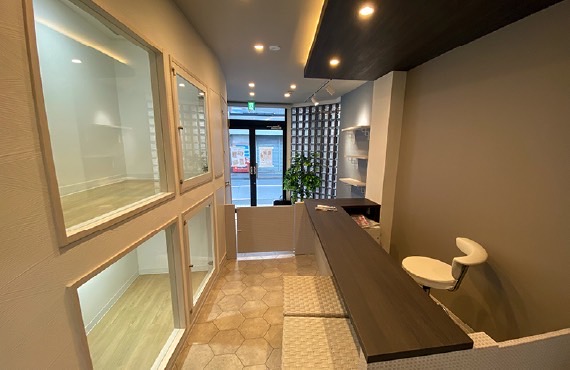 WELLNESS GROOMING SALON