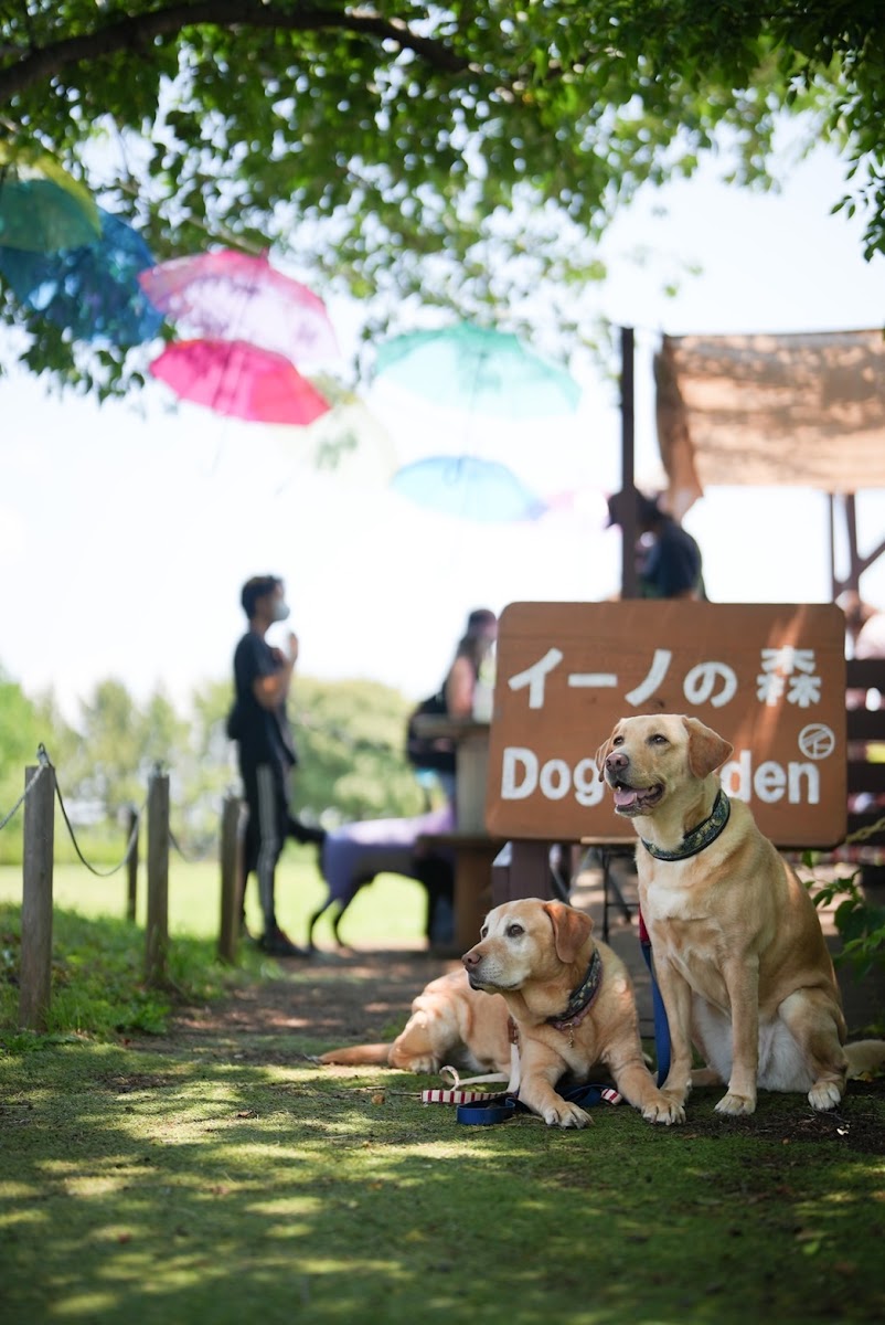 イーノの森DogGarden