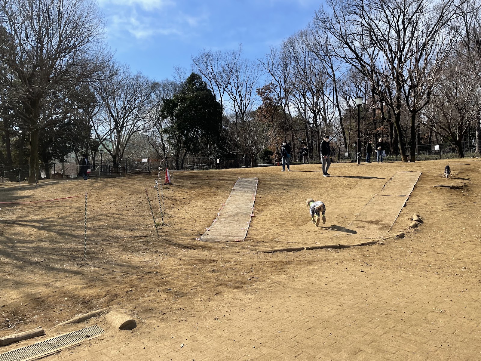 蘆花恒春園ドッグラン