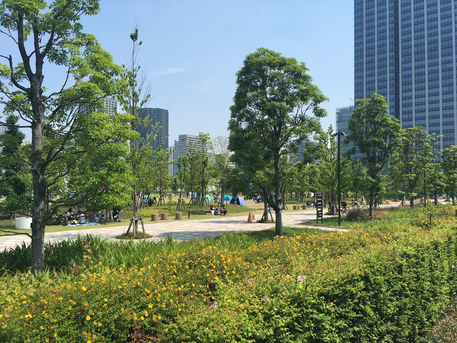 芝浦中央公園ドッグラン