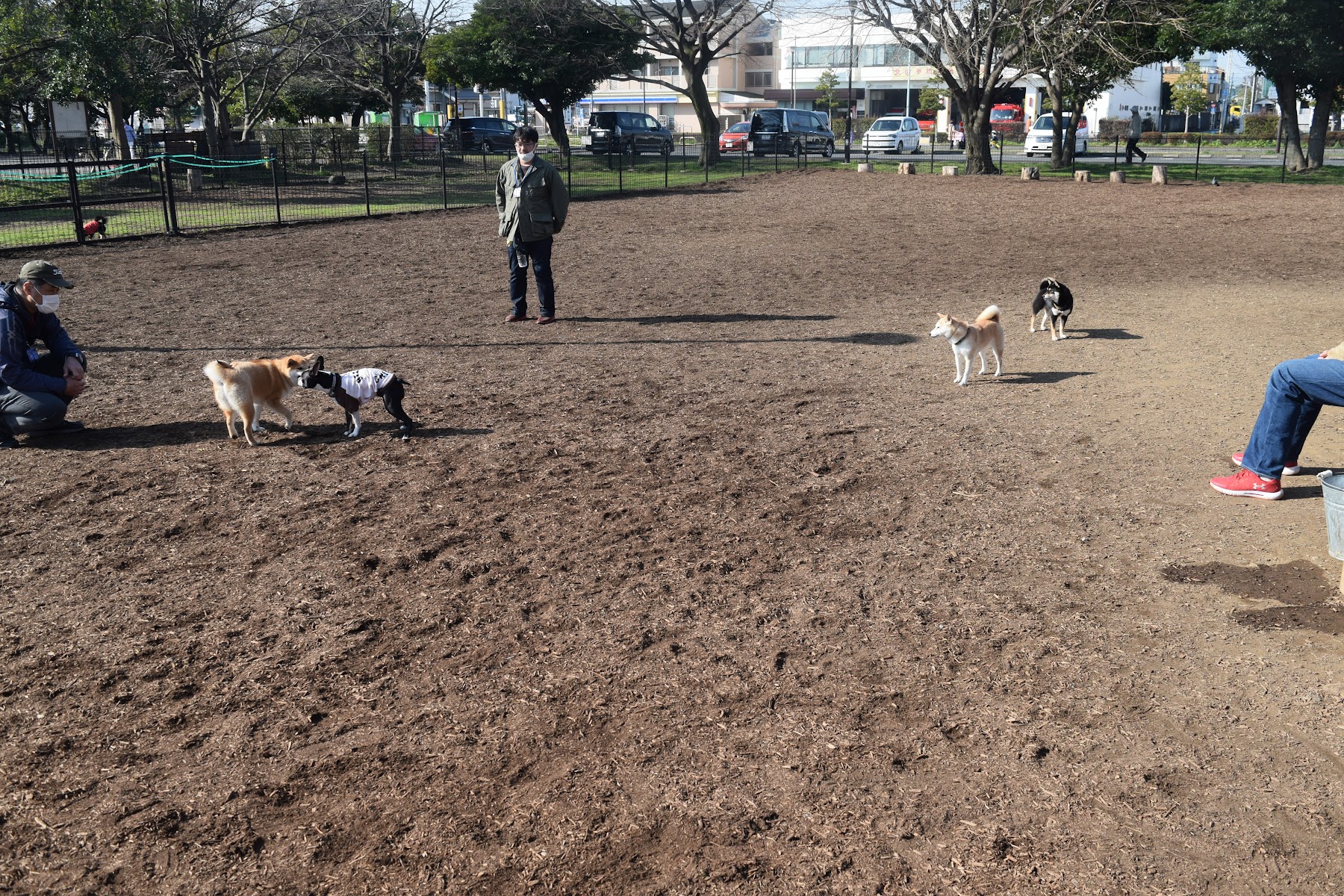 篠崎公園ドッグラン