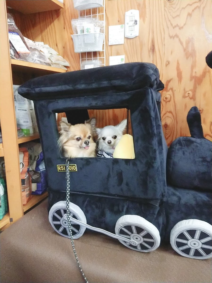 ペットステーション WAN